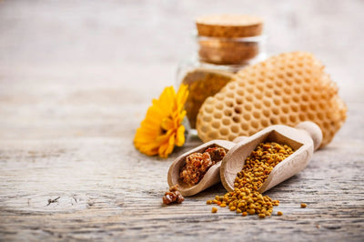 蜂膠：一個奇蹟的蜜蜂的產品及其藥理潛力