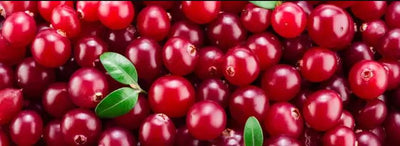 Cranberries the top 4 Health Benefits!