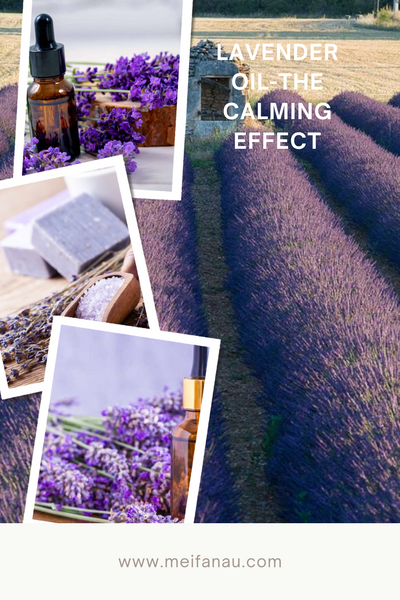 Lavender Oil Why its an Essential in Your House