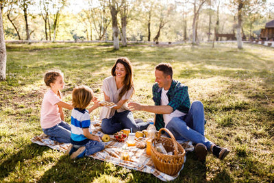 Four Great Tips on Keeping Bugs & Flies off your Babrbecue / Picnic this Spring!