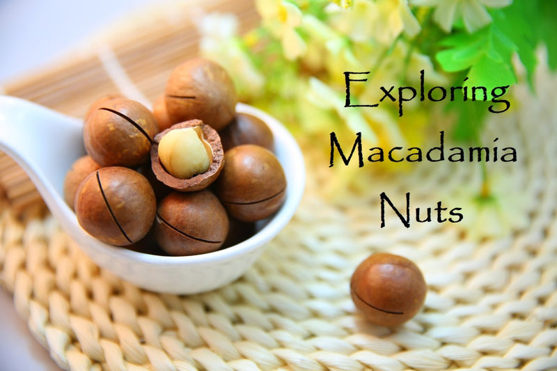 Macadamia-nuts_c65d5fec-f24d-4c9a-8dba-9f83dadfc418.jpg