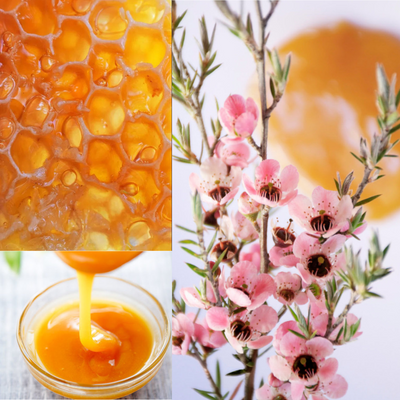 ManukaHoney_e442e986-d016-4ed2-aea2-def3e9dff638.png