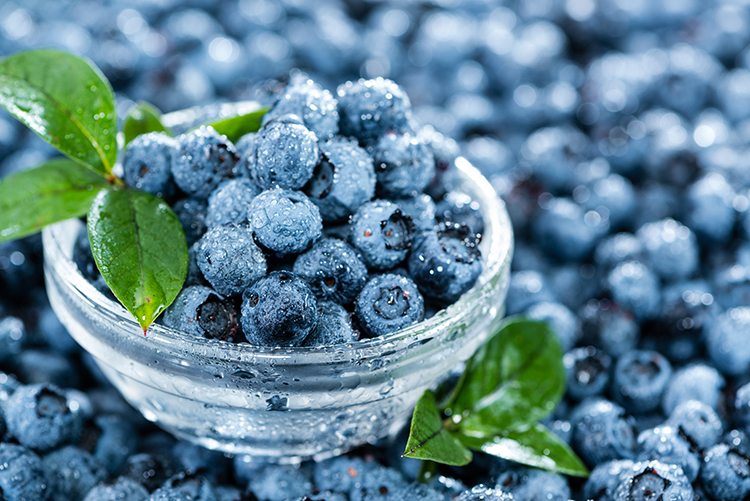 bilberry-benefits.jpg