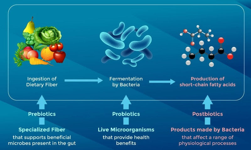 Life Space Broad Spectrum Probiotic 60 Capsules